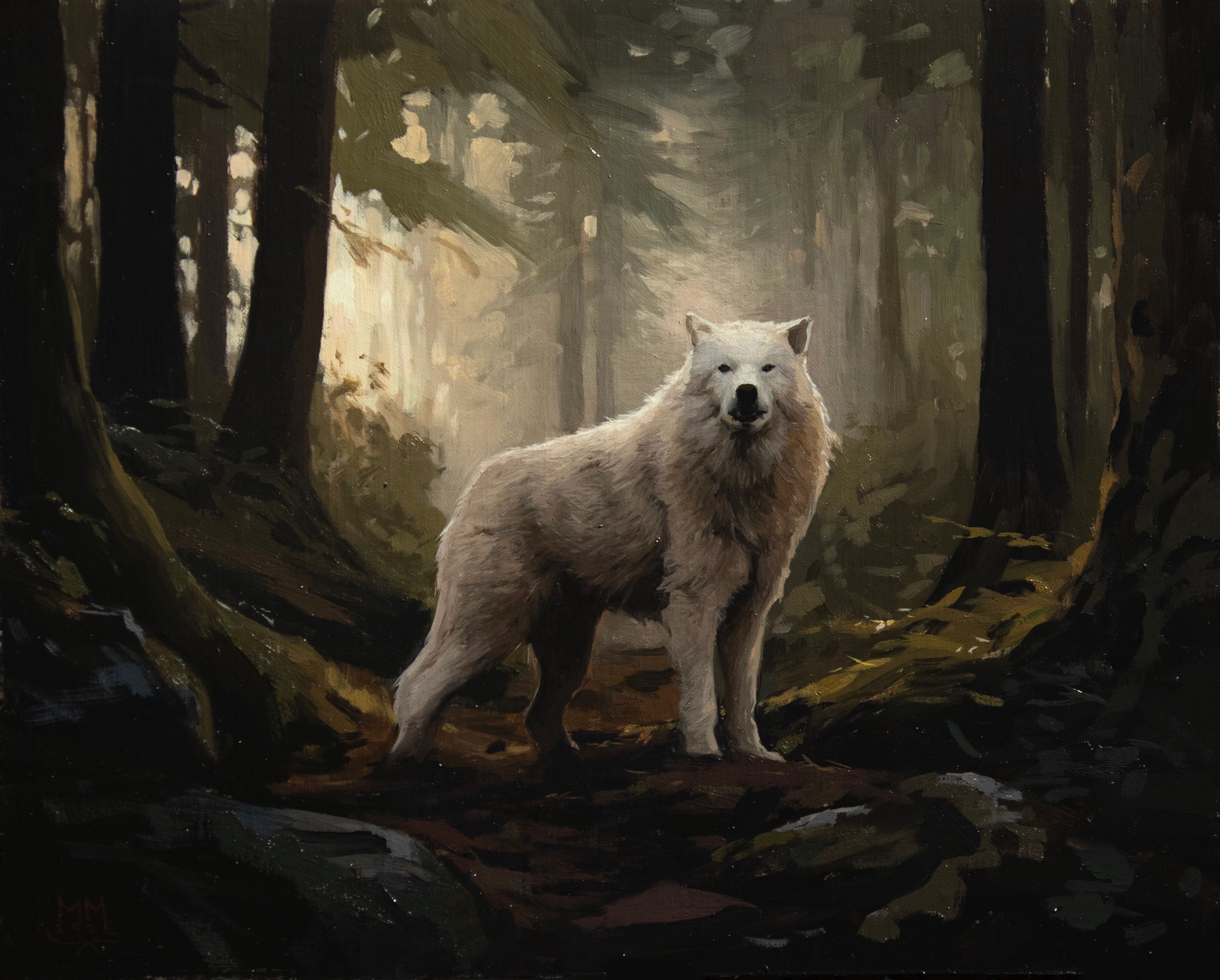 Wolf Medicine