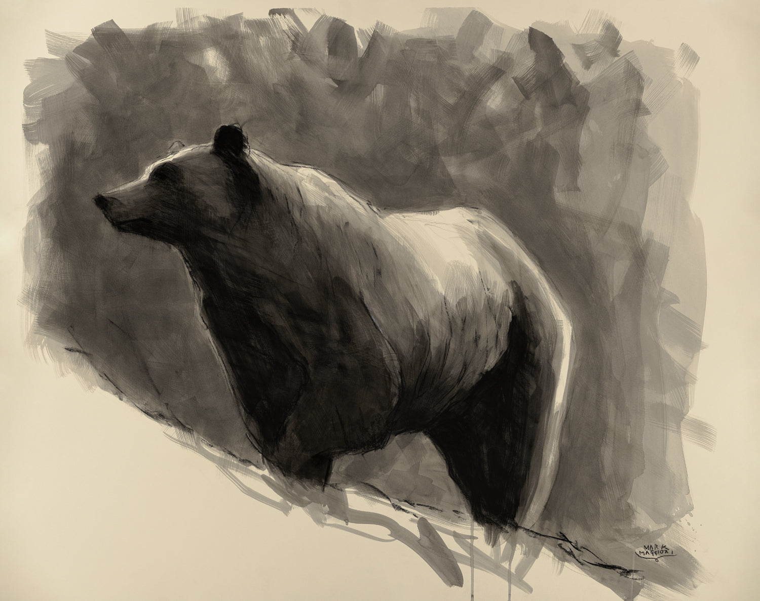 Bear Sketch