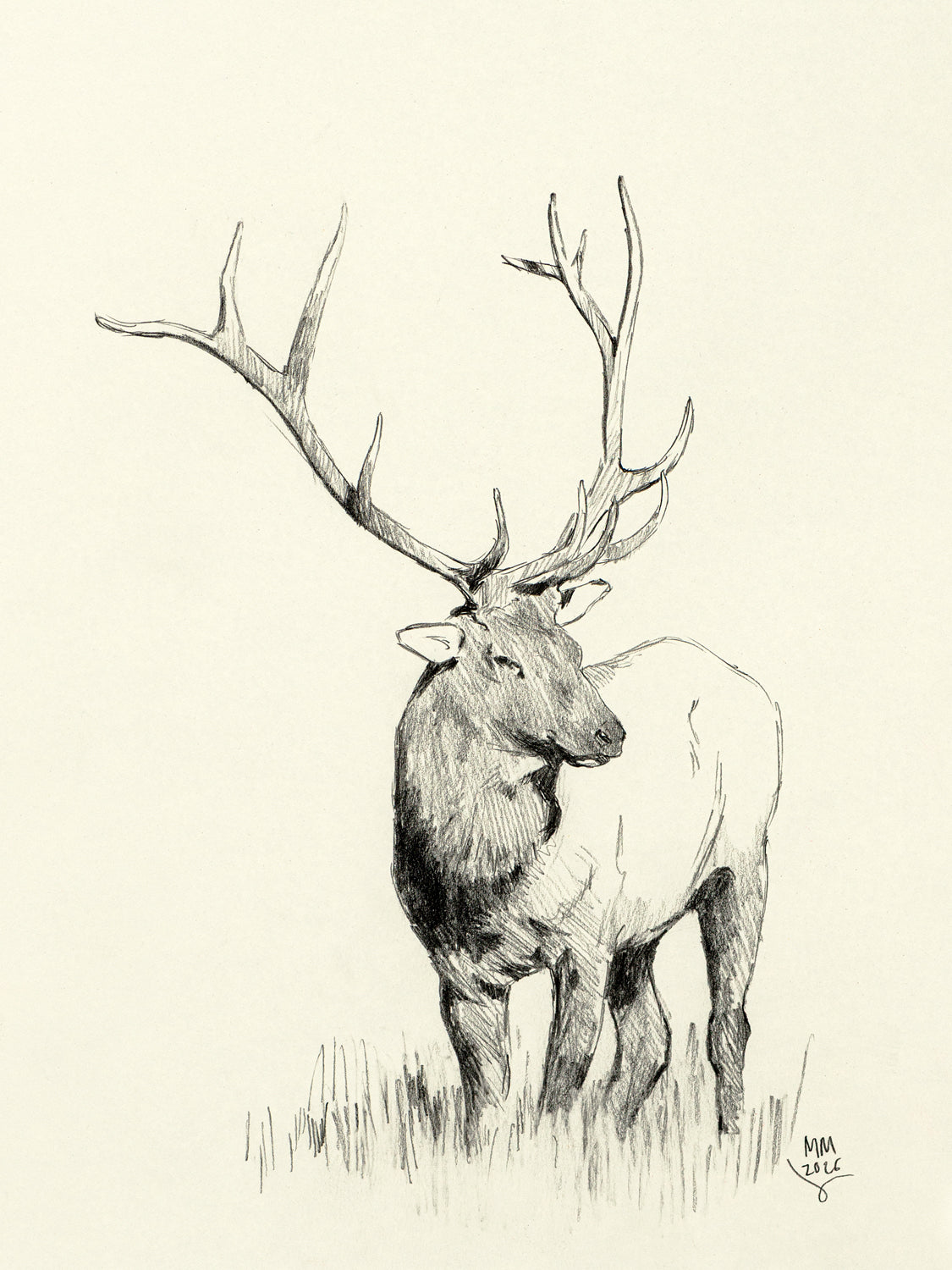 Elk Sketch
