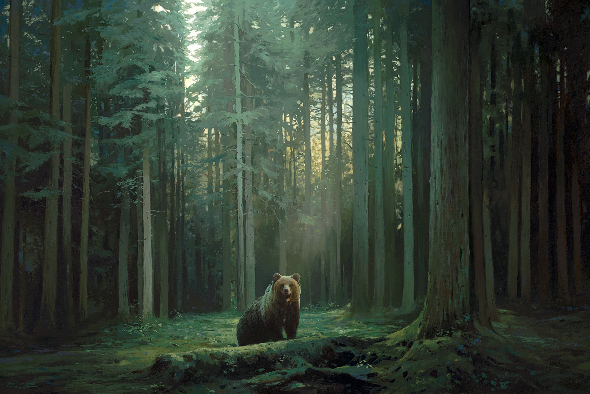 Mathó - Limited Edition XXL Canvas